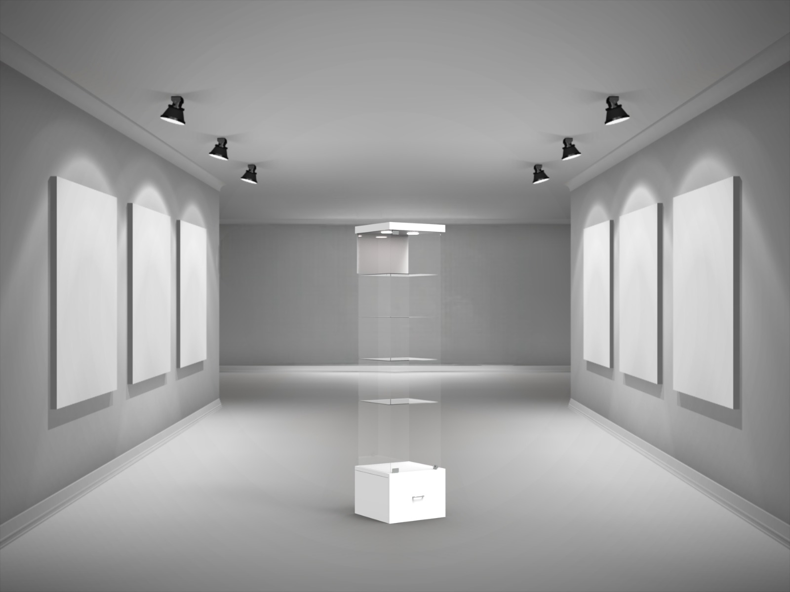 Type 1B-Freestanding display case